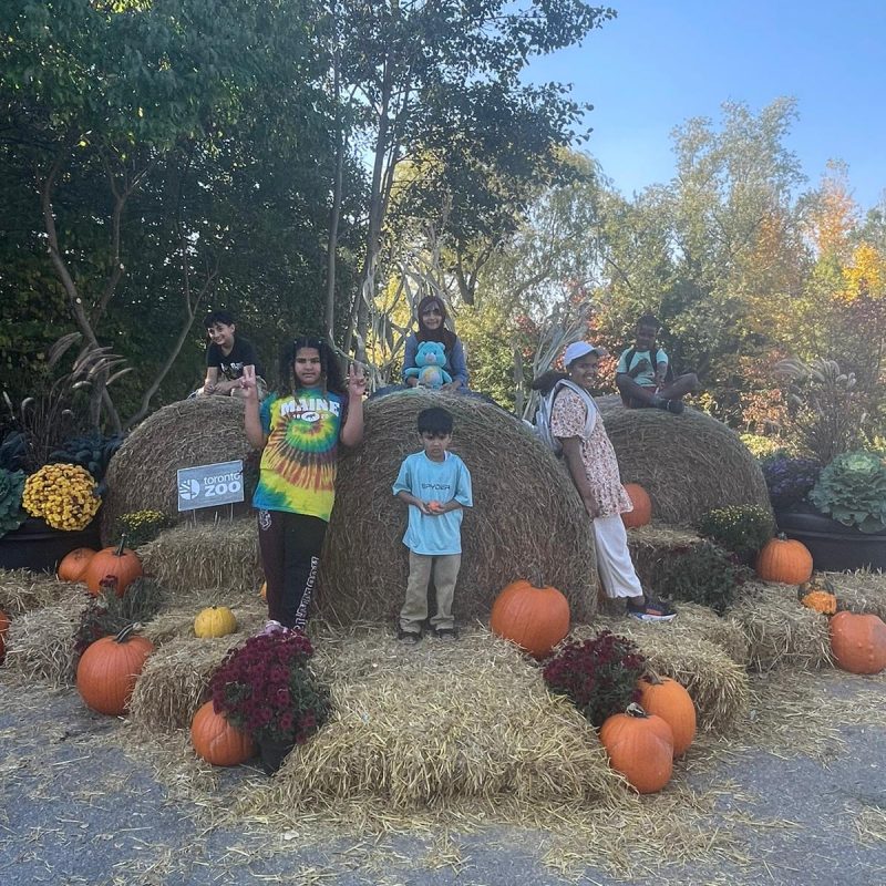 Out_Door_Activity (7)